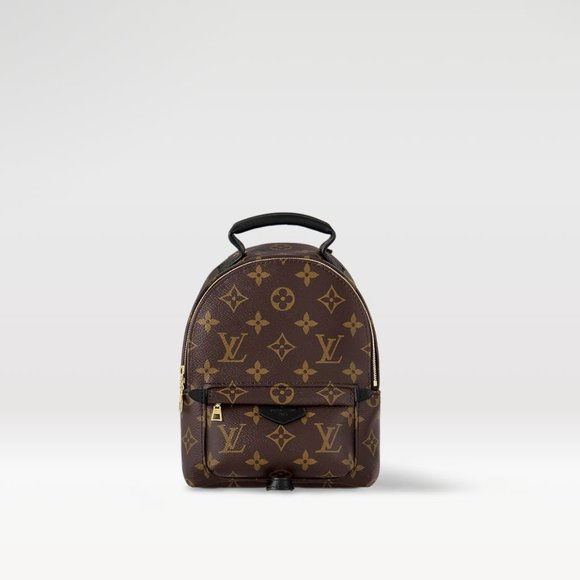 Louis Vuitton Palm Springs Mini Backpack - Picture 1 of 10